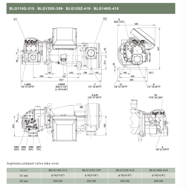 Винтовой холодильный компрессор BLG125Z-410. Аналог Bitzer HSN8571-125
